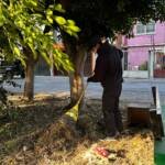 entrenamiento diferente