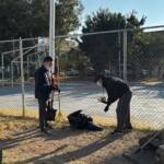 entrenamiento diferente