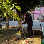 entrenamiento diferente