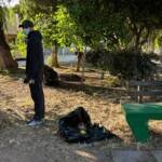 entrenamiento diferente