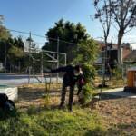 entrenamiento diferente